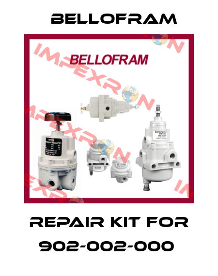 REPAIR KIT FOR 902-002-000  Bellofram