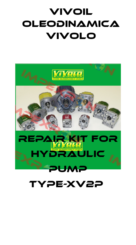 REPAIR KIT FOR HYDRAULIC PUMP TYPE-XV2P  Vivoil Oleodinamica Vivolo