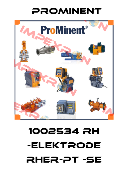 1002534 RH -Elektrode RHER-Pt -SE ProMinent