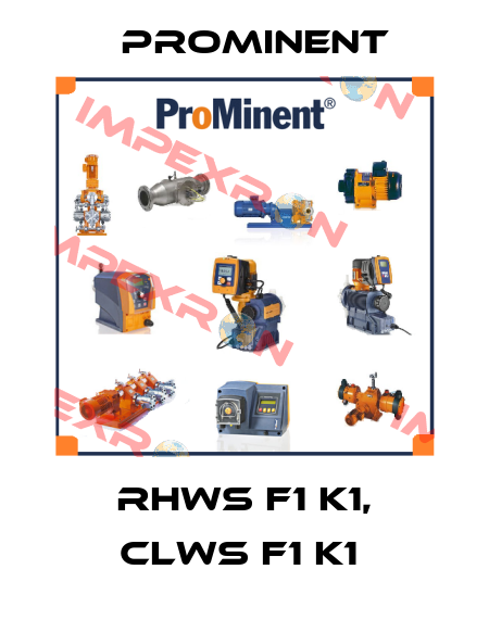 RHWS F1 K1, CLWS F1 K1  ProMinent