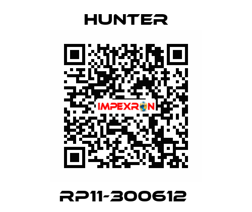 RP11-300612  Hunter
