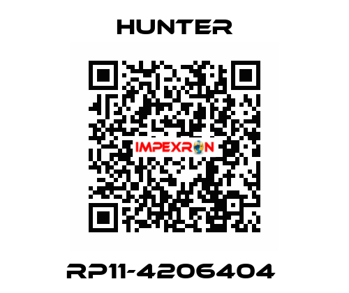 RP11-4206404  Hunter
