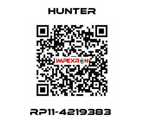 RP11-4219383  Hunter