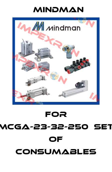 For MCGA-23-32-250　set of consumables Mindman