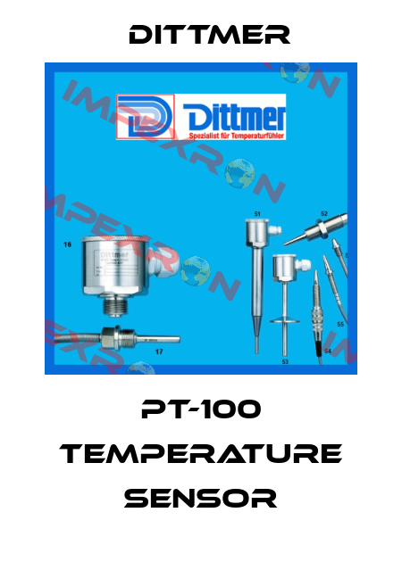 PT-100 temperature sensor Dittmer