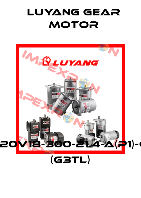 J220V18-300-21.4-A(P1)-G3 (G3TL) Luyang Gear Motor