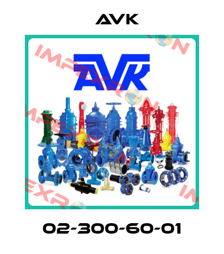 02-300-60-01 AVK