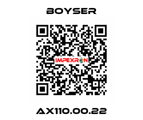 AX110.00.22 Boyser