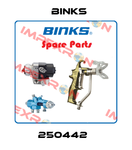 250442   Binks