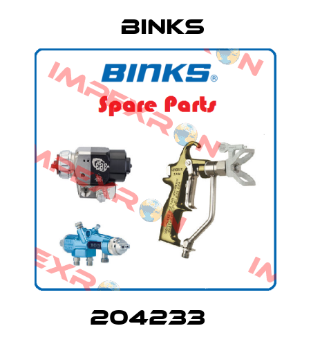 204233   Binks