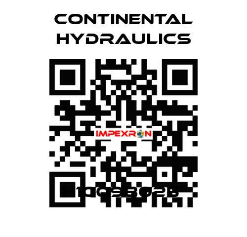 H10098025  Continental Hydraulics