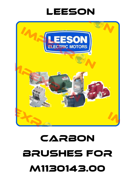 Carbon brushes for M1130143.00 Leeson