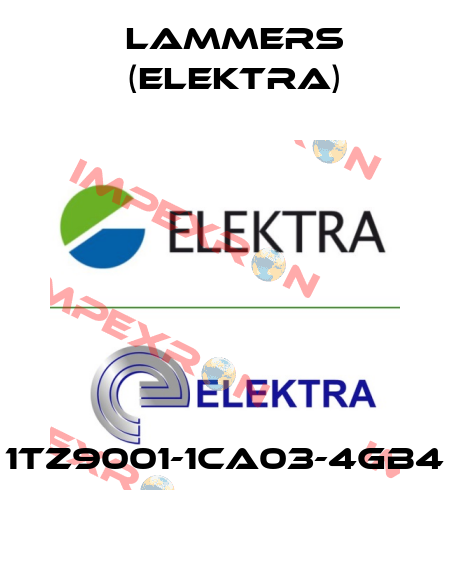 1TZ9001-1CA03-4GB4 Lammers (Elektra)