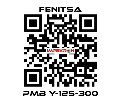 PMB Y-125-300 Fenitsa