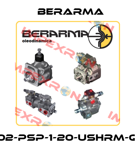 02-PSP-1-20-USHRM-Q Berarma