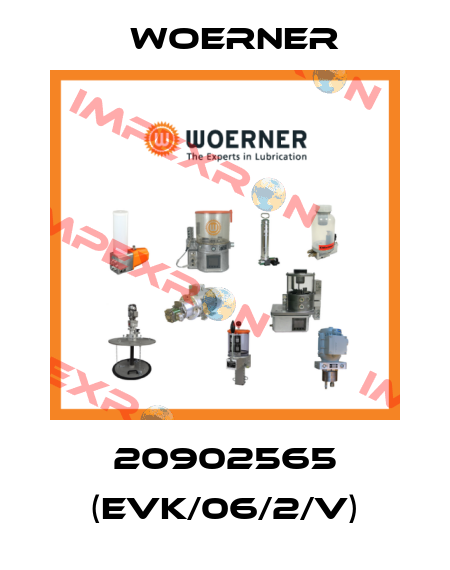 20902565 (EVK/06/2/V) Woerner