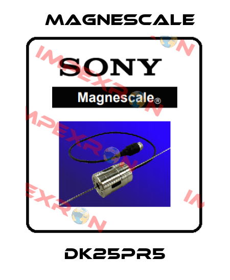 DK25PR5 Magnescale