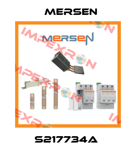 S217734A  Mersen