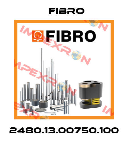 2480.13.00750.100 Fibro