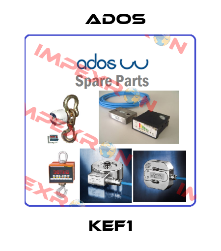 KEF1 Ados