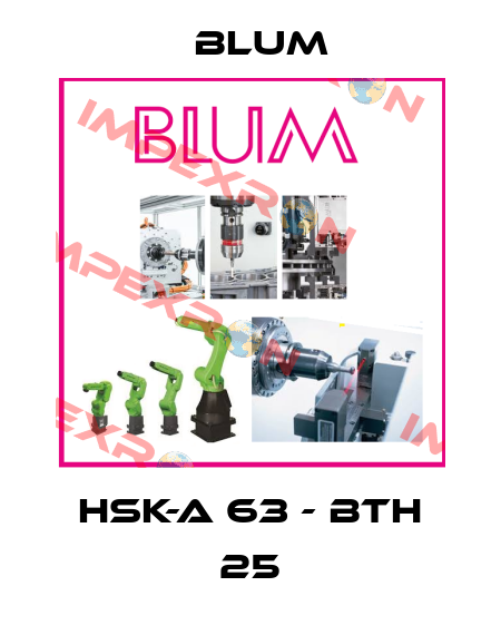 HSK-A 63 - BTH 25 Blum