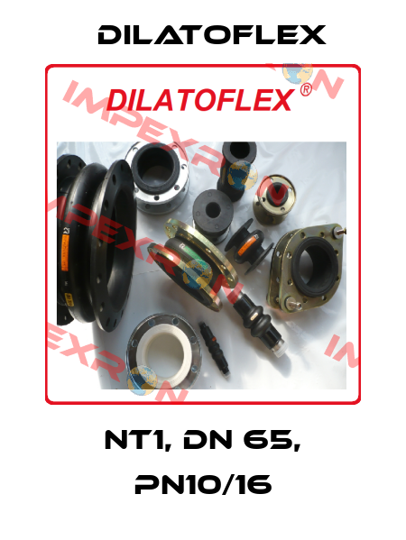 NT1, DN 65, PN10/16 DILATOFLEX