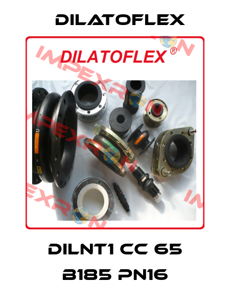 DILNT1 CC 65 B185 PN16 DILATOFLEX