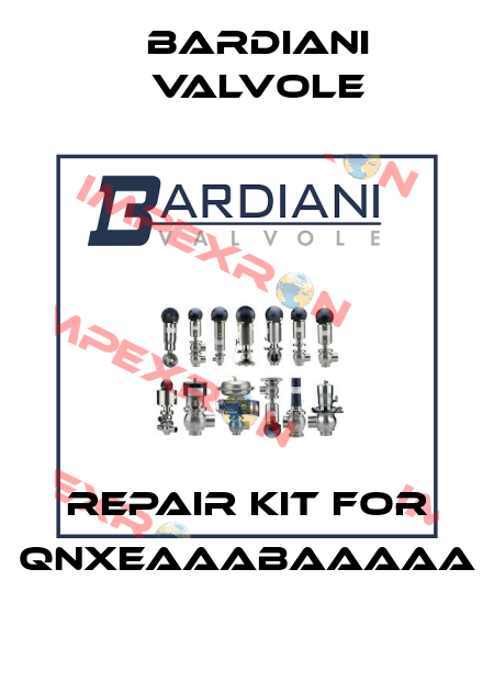 Repair kit for QNXEAAABAAAAA Bardiani Valvole