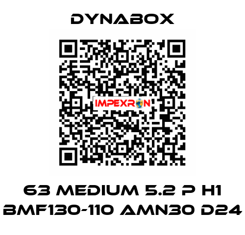 63 Medium 5.2 P H1 BMF130-110 AMN30 D24 Dynabox