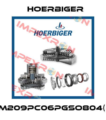 SBM209PC06PGSO804(B2) Hoerbiger