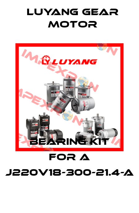 bearing kit for a J220V18-300-21.4-a Luyang Gear Motor
