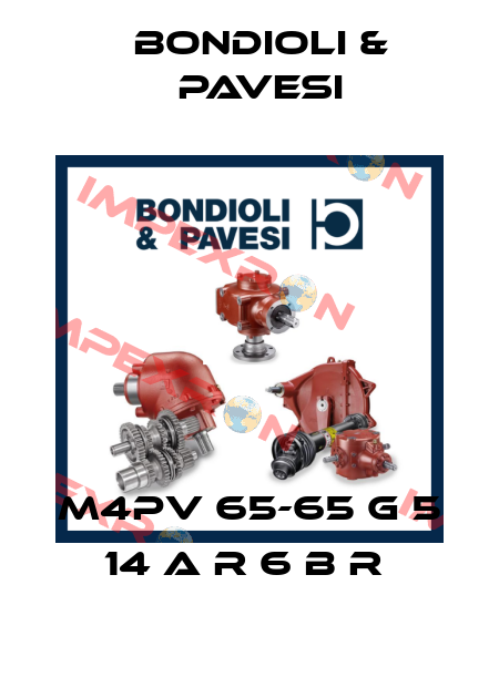 M4PV 65-65 G 5 14 A R 6 B R  Bondioli & Pavesi