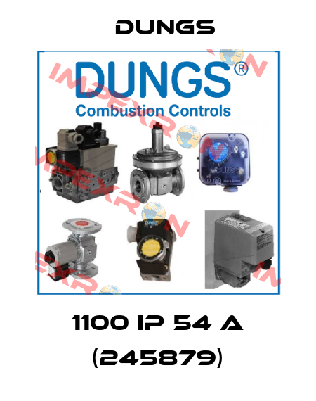 1100 IP 54 A (245879) Dungs