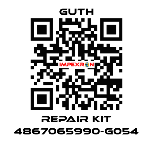 repair kit 4867065990-G054 Guth