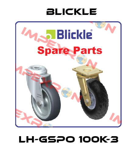LH-GSPO 100K-3 Blickle