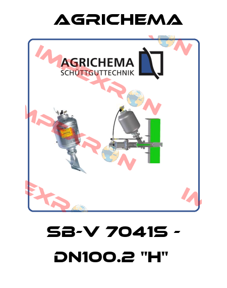 SB-V 7041S - DN100.2 "H"  Agrichema