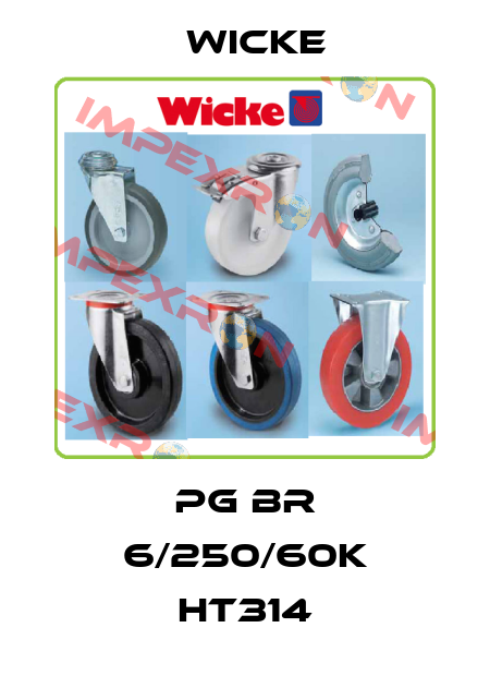 PG BR 6/250/60K HT314 Wicke