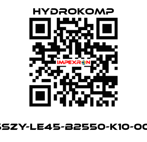       SSZY-LE45-B2550-K10-001 HYDROKOMP
