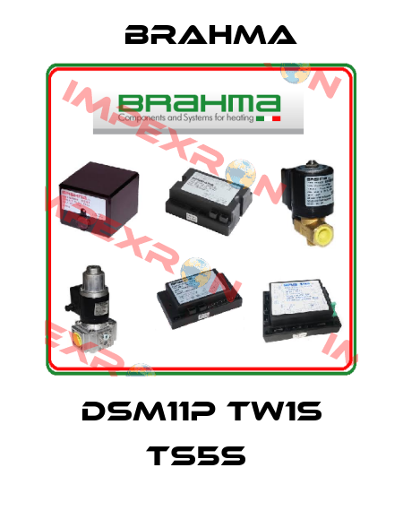 DSM11P TW1s TS5s  Brahma