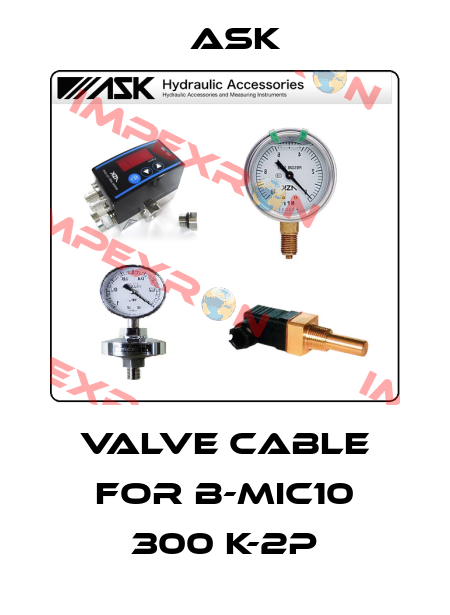 valve cable for B-MIC10 300 K-2P Ask