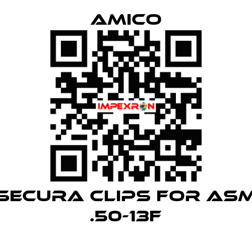 Secura Clips for ASM .50-13F AMICO