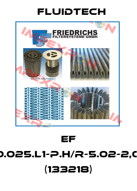 EF 4.121-B20.025.L1-P.H/R-5.02-2,0-f2.2,0-1 (133218) Fluidtech