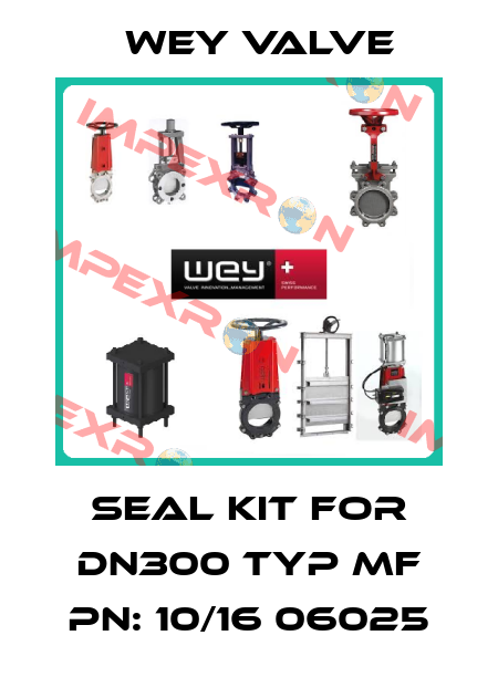 Seal kit for DN300 Typ MF PN: 10/16 06025 Wey Valve