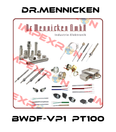 BWDF-VP1　Pt100 DR.Mennicken