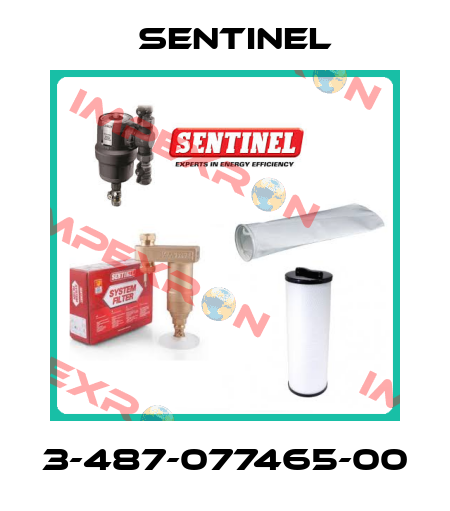 3-487-077465-00 Sentinel