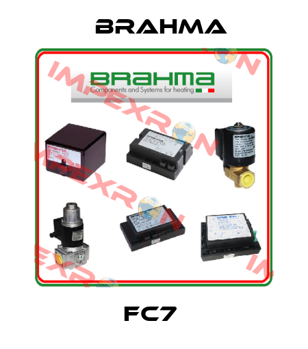 FC7  Brahma