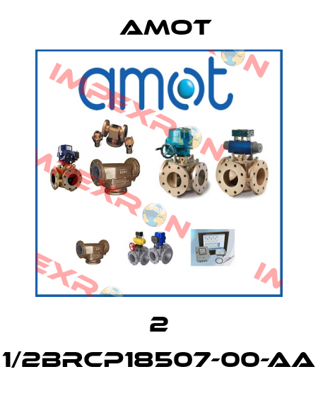 2 1/2BRCP18507-00-AA Amot