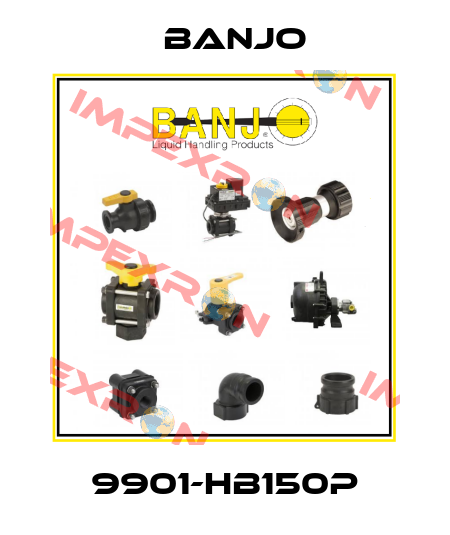 9901-HB150P Banjo