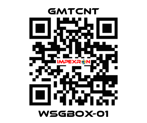 WSGBOX-01 GMTCNT