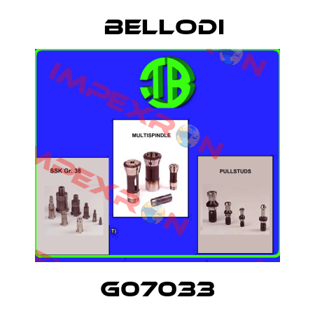 G07033 Bellodi